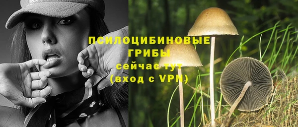 стаф Баксан