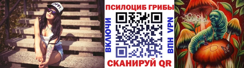 Псилоцибиновые грибы GOLDEN TEACHER Белореченск